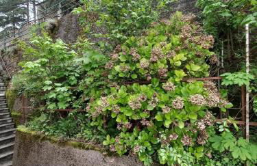 A Casa di Giulia - Foto 17