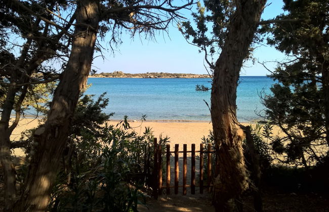 Ktima Grammeno - Foto 15