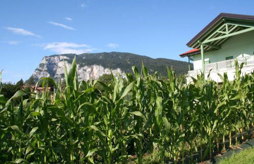 Agriturismo Florandonole - Foto 62