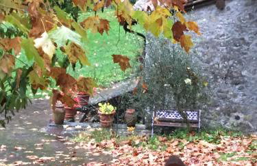 Relax totale nel Bosco Lucca - Foto 58