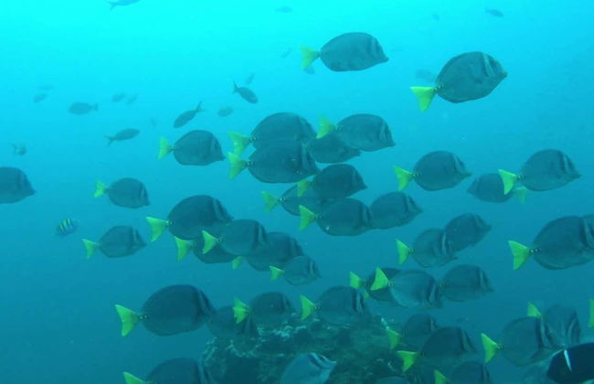 Salango Island Tour - Photo 6