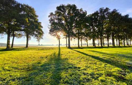 FeWo Elbtalaue III - Foto 8