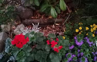 The Beeches - Foto 6