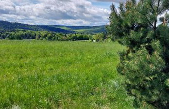 Tygiel Krzywa, Beskid Niski - Foto 10