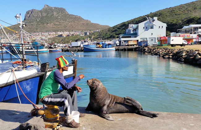 Hout Bay Beach Cottage - Photo 42