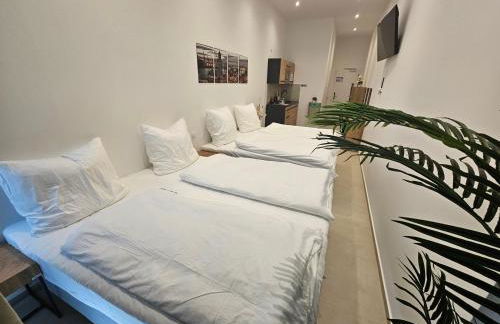 ApartHotel Rahl 24h Self Check-in - Foto 10