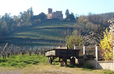 Entre Histoire et Terroir - 2 Gîtes de Charme - Foto 9