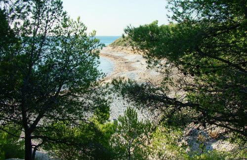 INNOUTHOME Villa 11 de Setembre 9 - Foto 36