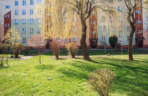 Studio dla Dwojga - Foto 19