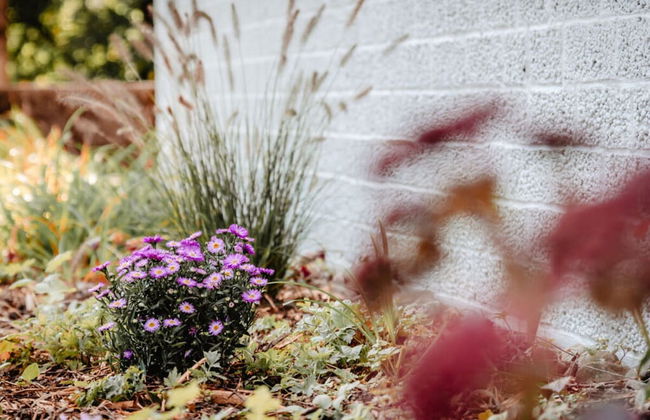 Granetal.quartier-apartment Bocksberg - Photo 19