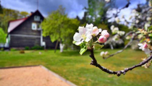 Comfortable Holiday Home in the Middle of a Forest - Foto 4, Garden