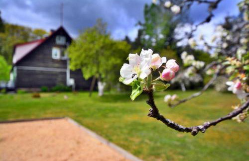 Comfortable Holiday Home in the Middle of a Forest - Foto 4