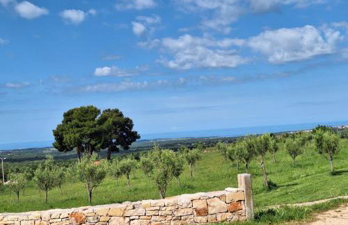 Casa dell` armonia - Foto 20