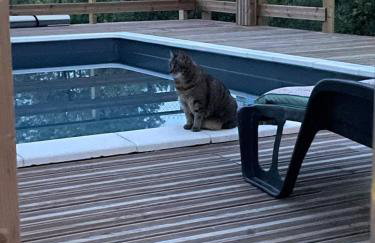 Le Mas de L'Arceau - Mas avec piscine en Sud Ardèche - Photo 14