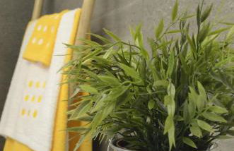 AniCa I, en el corazón de la Mancha - Photo 17