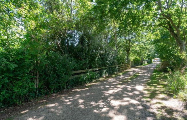 Radiant Bungalow With Patio at Duinland - Foto 54