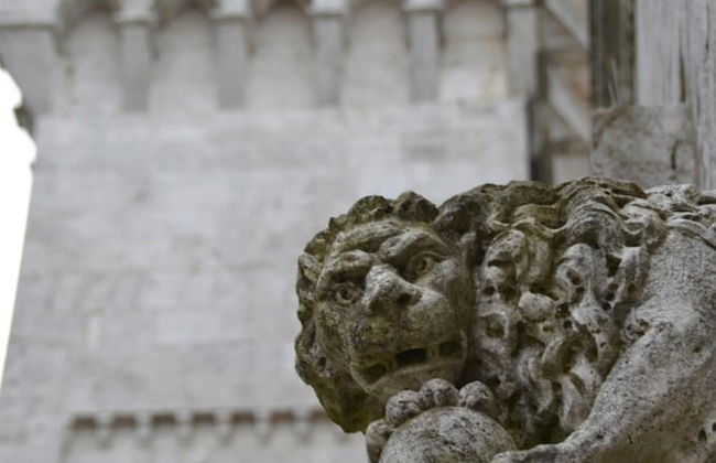 Castello delle Serre - Foto 53