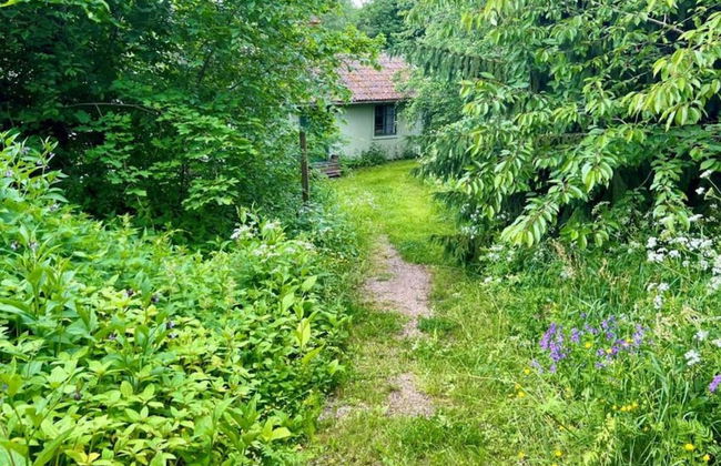 Tranquil Lakeside Cottage Retreat - Foto 30