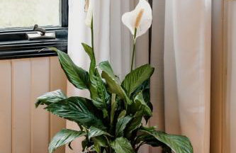 Charming Cabin with Hot Tub & Fire Pit - Foto 28