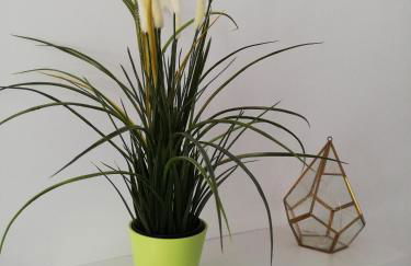 Les insolites de Champeix - Photo 54