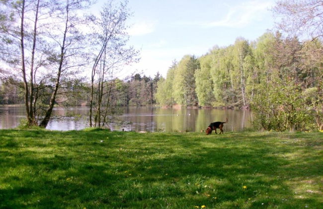 Holiday Home With Private Terrace in Gehren - Foto 31