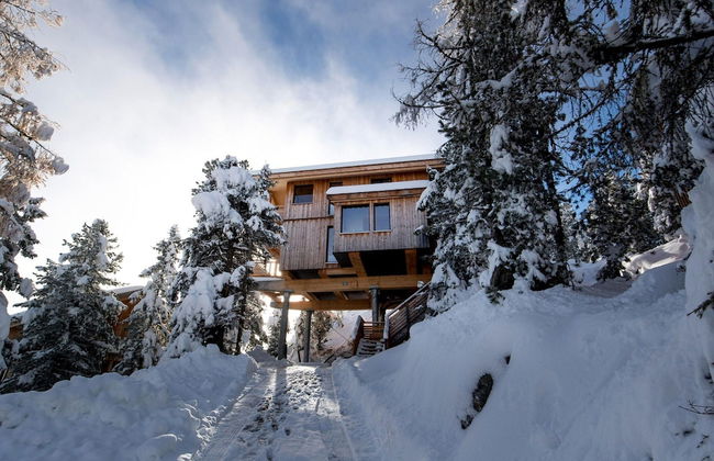 Chalet in Alps Near Ski Slopes With Jacuzzi - Photo 22