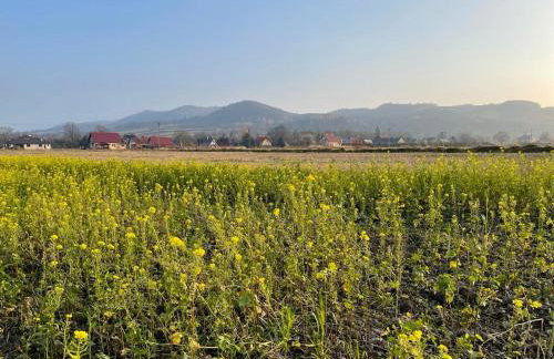 U Ewy pod Brzozami - Foto 55