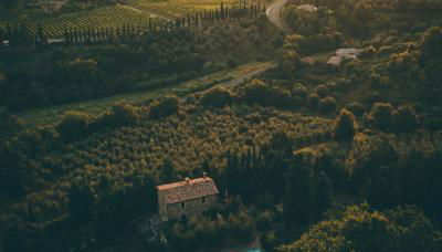 Tenuta Canina - Foto 2