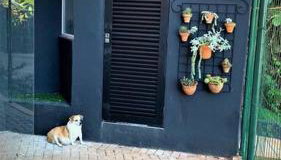 Apto Roma na Vila Paraíso: um cantinho feliz - Foto 4