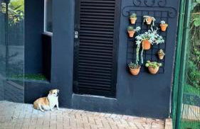 Apto Roma na Vila Paraíso: um cantinho feliz - Foto 4