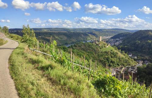 Rheinuferhaus - Foto 48