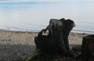 70m²- Ferienwohnung mit Terrasse - Foto 27