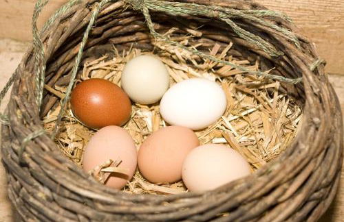 Gut Grasleiten - Foto 35