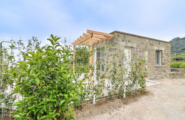 Tenuta C'est la Vie - Foto 31