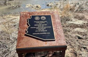 Penthouse Suite at Meadow View! - Foto 36