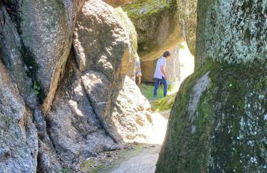 Canastro do Vidoeiro - Foto 36