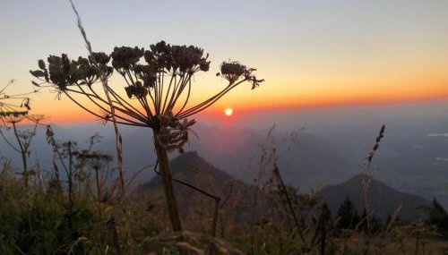 Schauerhof - Photo 4