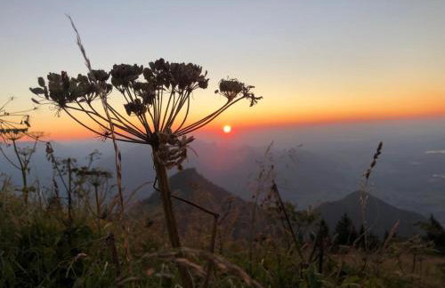 Schauerhof - Photo 4