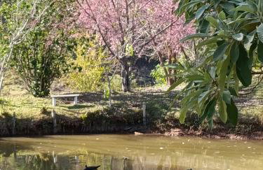 Sítio Bela Vista - Photo 14