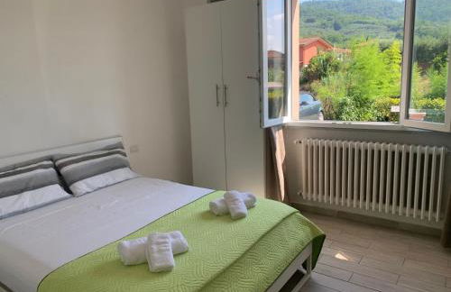 Il gatto e la volpe 1 - Foto 37