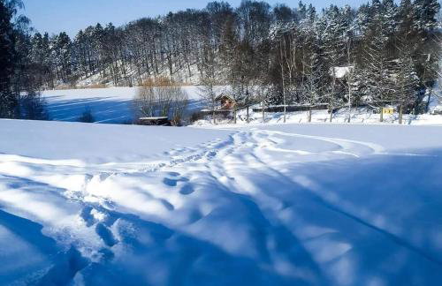 Agrowczasy u Bartka - Foto 4