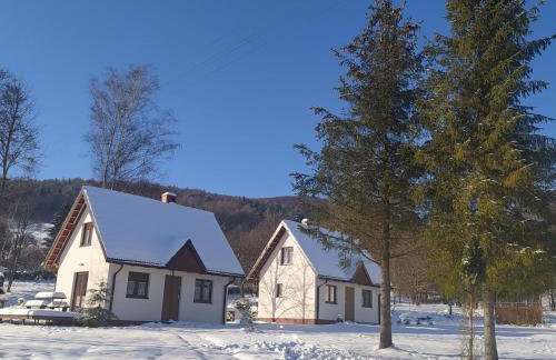 Domek Bieszczadzkie Brzegi - Foto 18