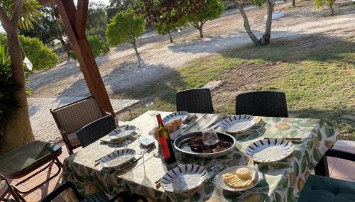 Monte Velho - Country House - Foto 5