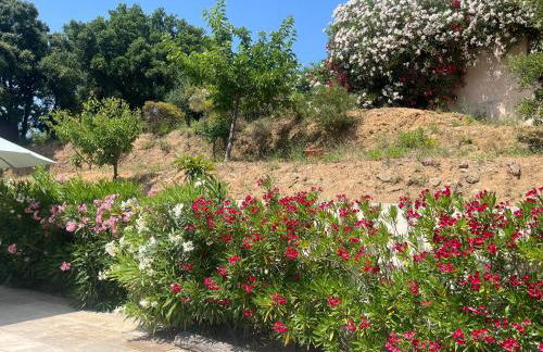 Les Néfliers - Foto 46