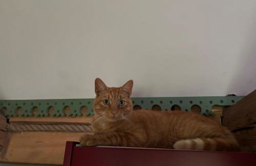 dla mnie się podoba - Foto 66