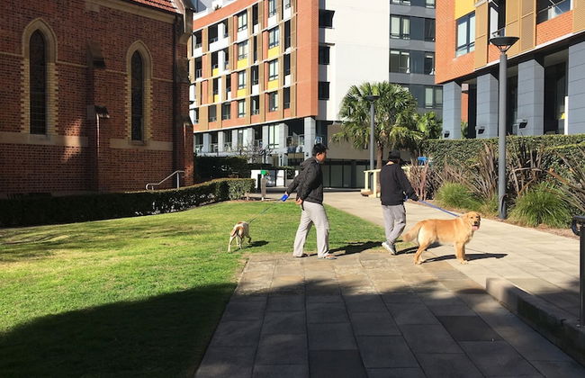 Exclusive apartment with water views - Foto 24