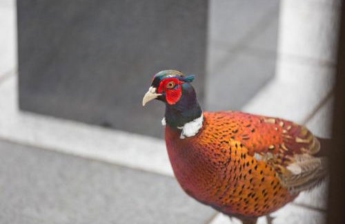 The Invergarry - Royal Deeside Luxury 5 star Couples Retreat with Hot Tub, Aboyne - Foto 33