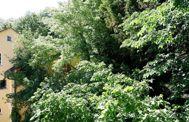 3-Zimmer Apartment in Altstadtlage - Foto 10