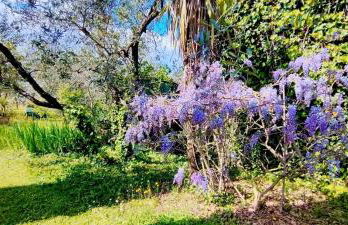 La casa dei nonni - Foto 32