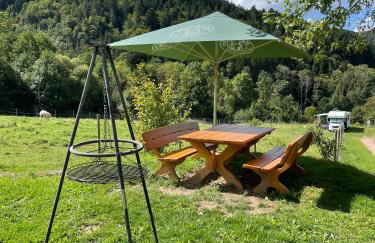 Ferienwohnungen Schwabenhof - Foto 41